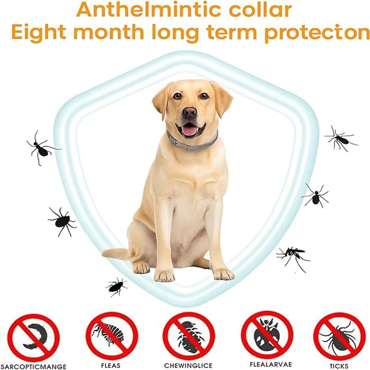 Flea and Tick Collar