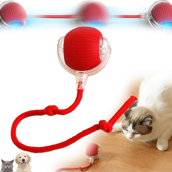 Viral Rolling Ball: Interactive Cat Ball Toy