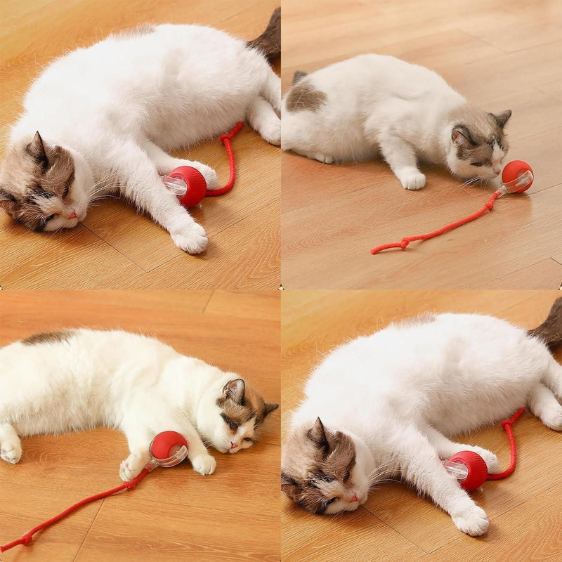 Viral Rolling Ball: Interactive Cat Ball Toy