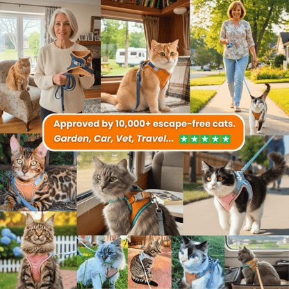 Cat Harness with Leash Adjustable Comfortable